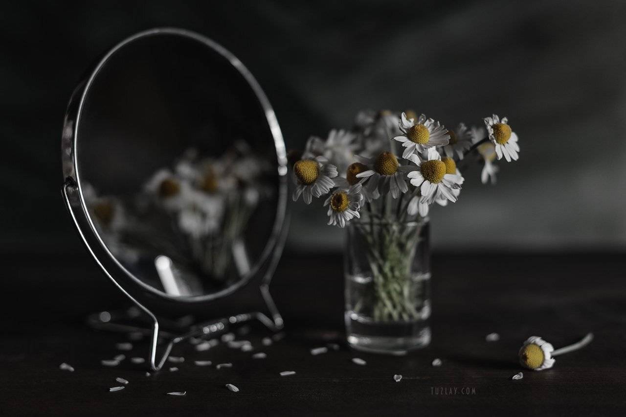 ромашки, белые ромашки, софт фокус, боке, ромашка в стакане, зеркало, Владимир Тузлай