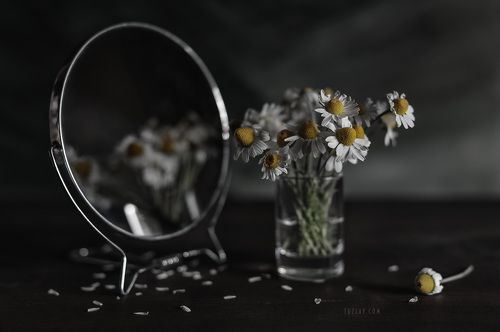 Про ромашки в рюмашке и зеркало