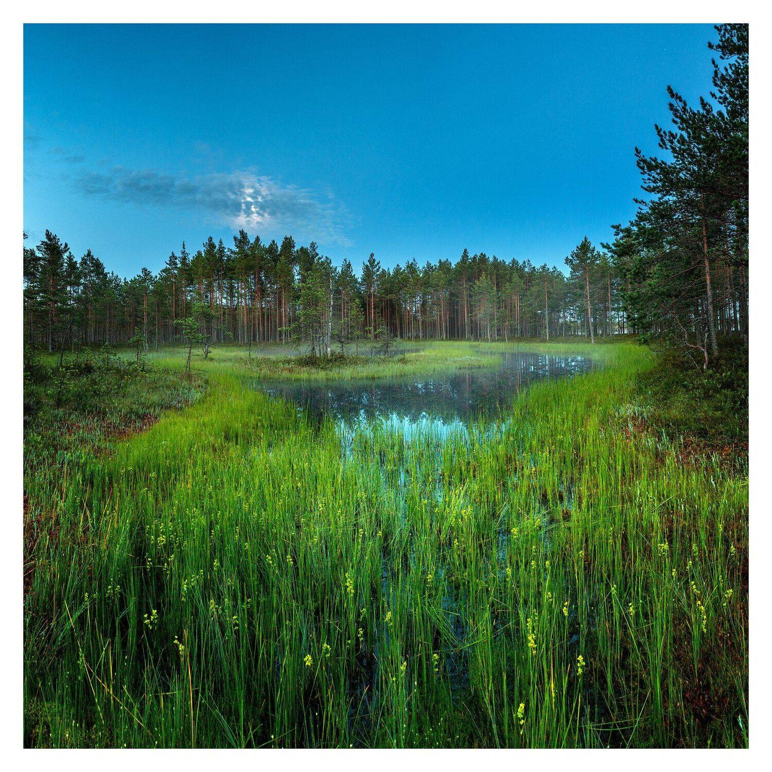 , Евгеньевич Андрей