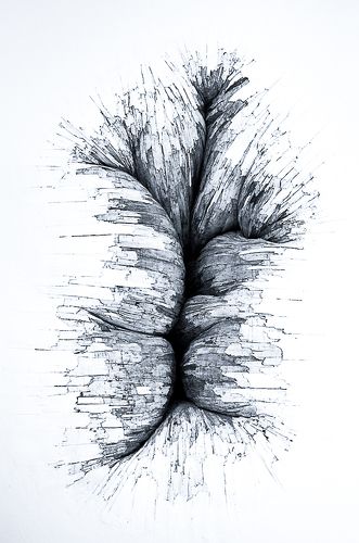 L'arbre des causes