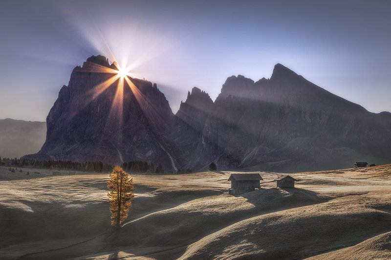 Magic of Alpe di Siusi фото превью