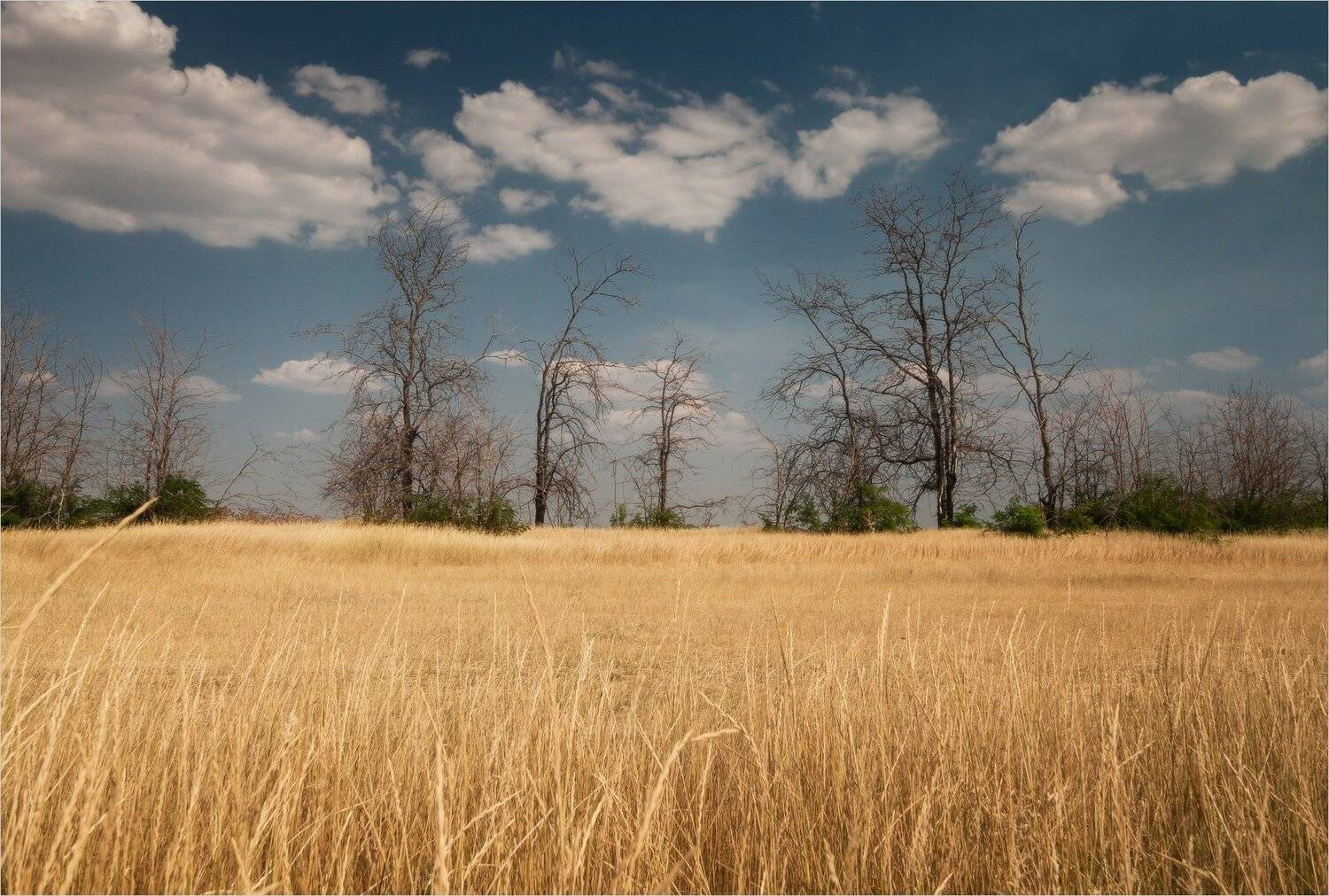 , Михаил Гапонов