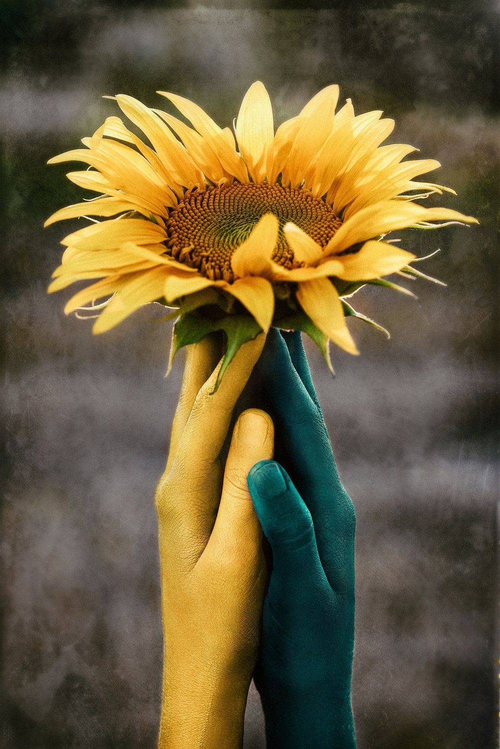 art, face, faceart, portrait, model, mood, nikon, Анна Дегтярёва