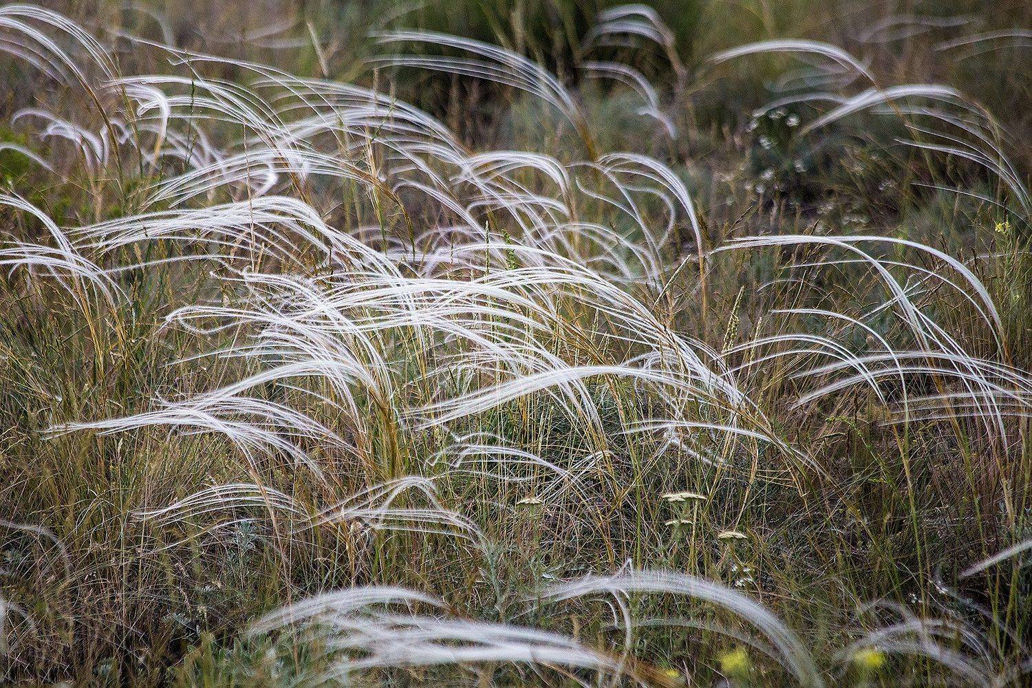 южный, урал, губерля орск, новотроицк, Качурин Алексей