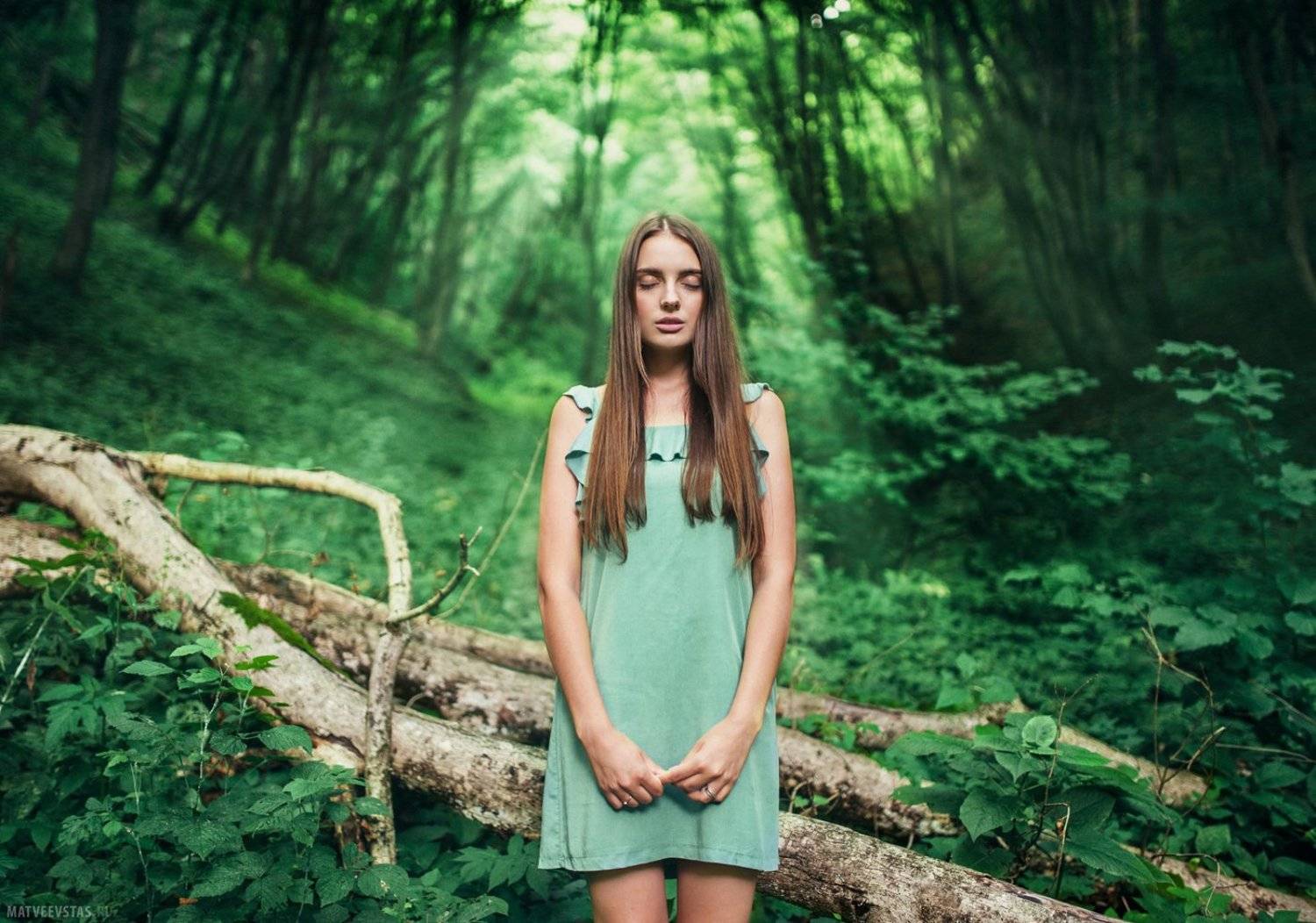 лес, forest, лучи, rays, трава, grass, модель, model, Матвеев Стас