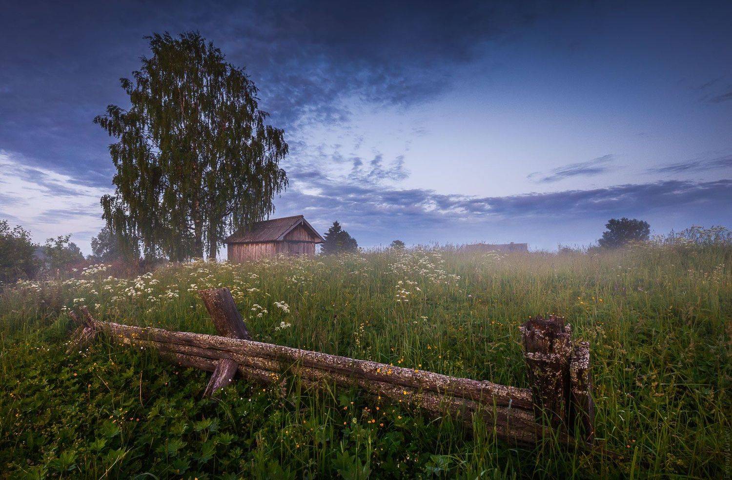 , Евгений Луцко