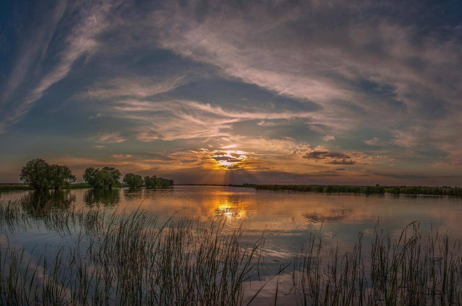 фото сделано на протоке у с.камышово астраханской обл, Сергей цыбизов
