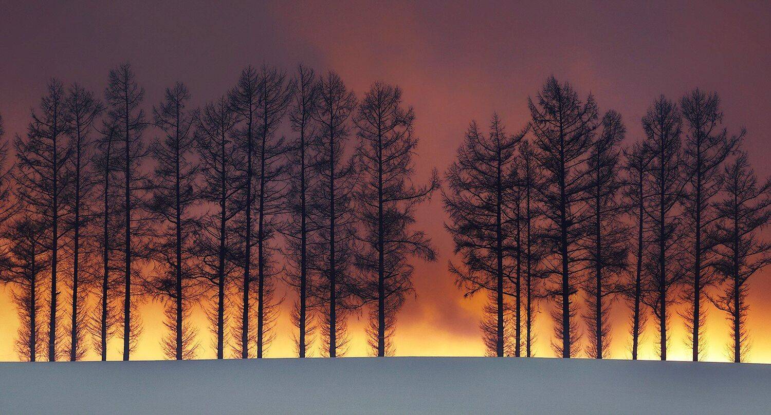 , suk eun kim