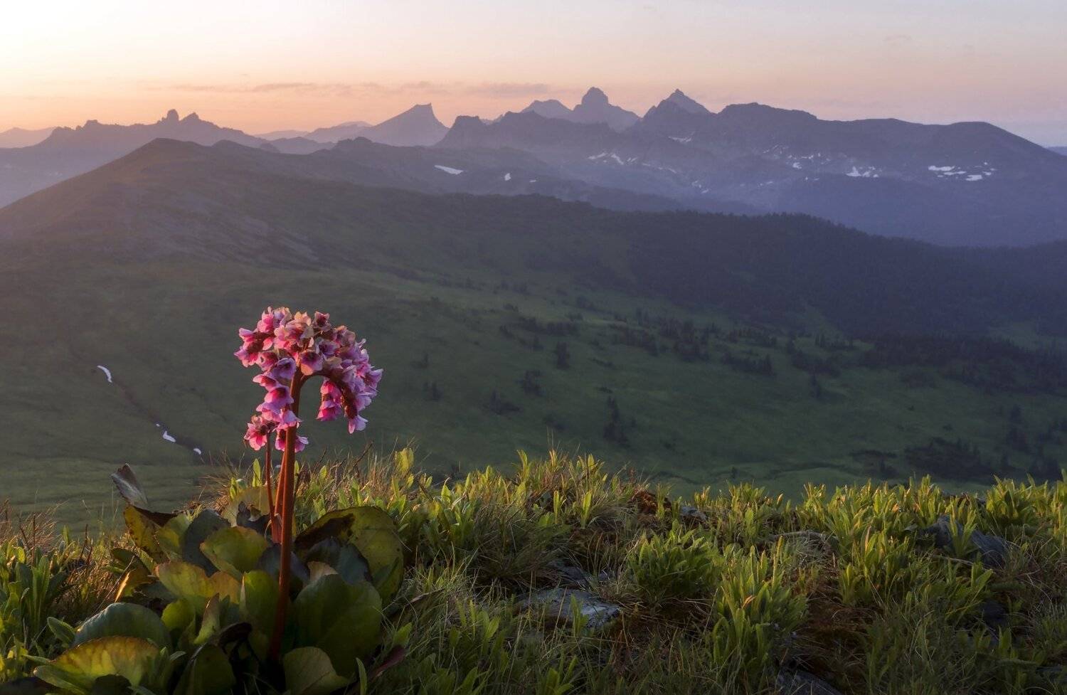 ергаки, Анатолич