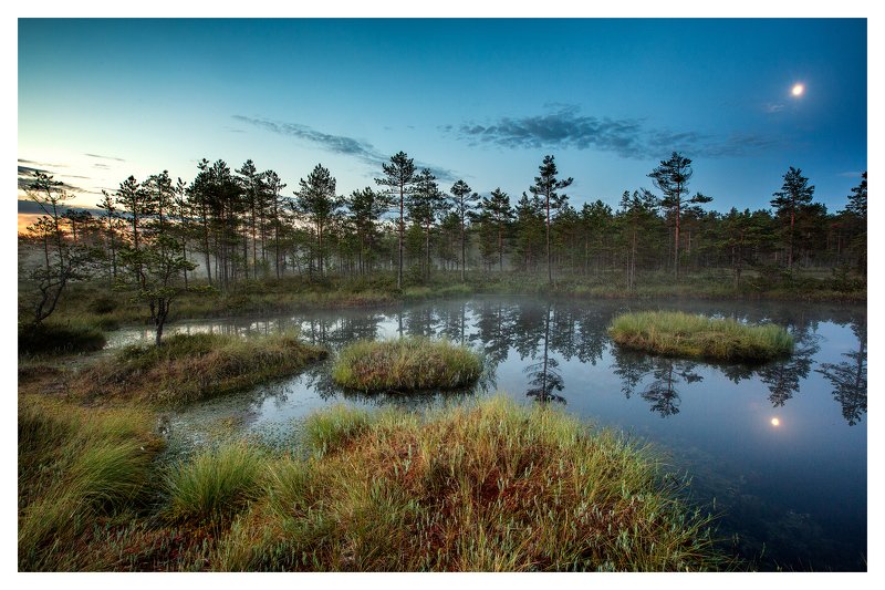 --- фото превью