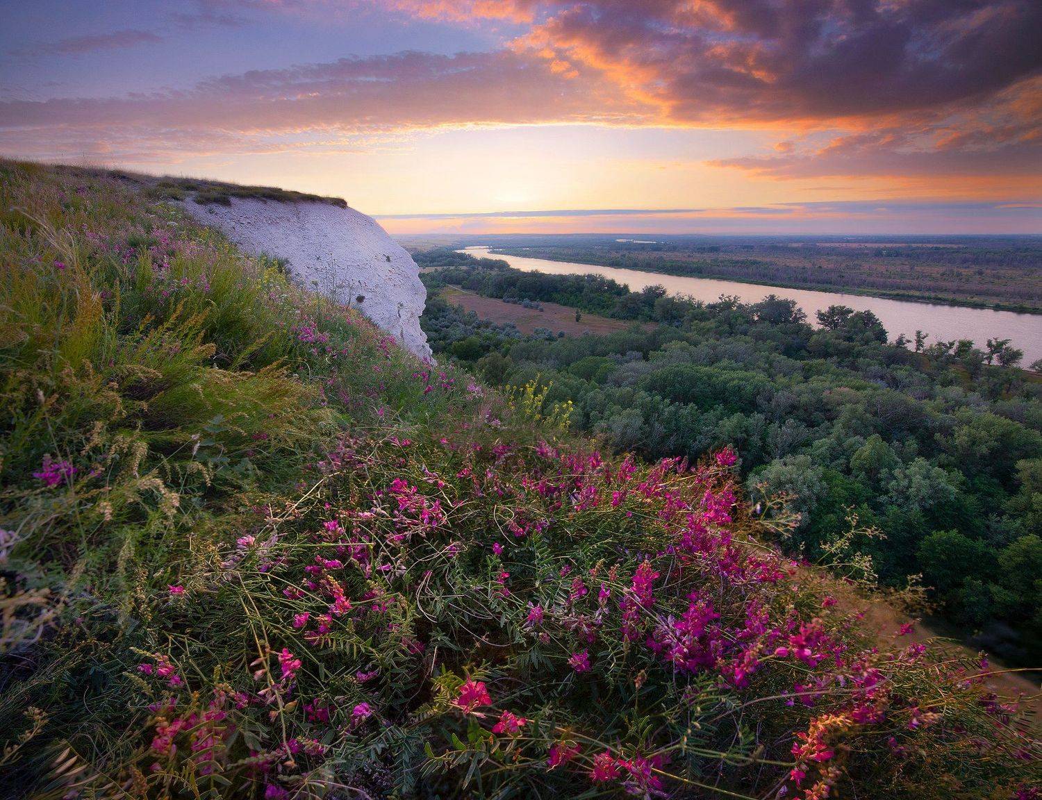 дон, цветы, меловые горы, токина, Попрошаев Сергей