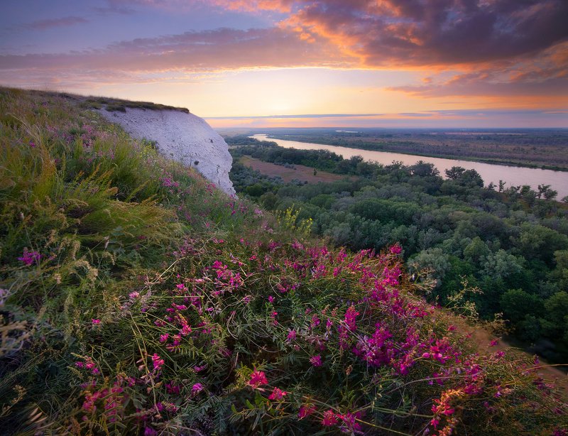 дон, цветы, меловые горы, токина  фото превью