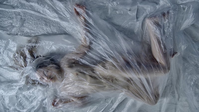 девушка Девушка под плёнкой фото превью