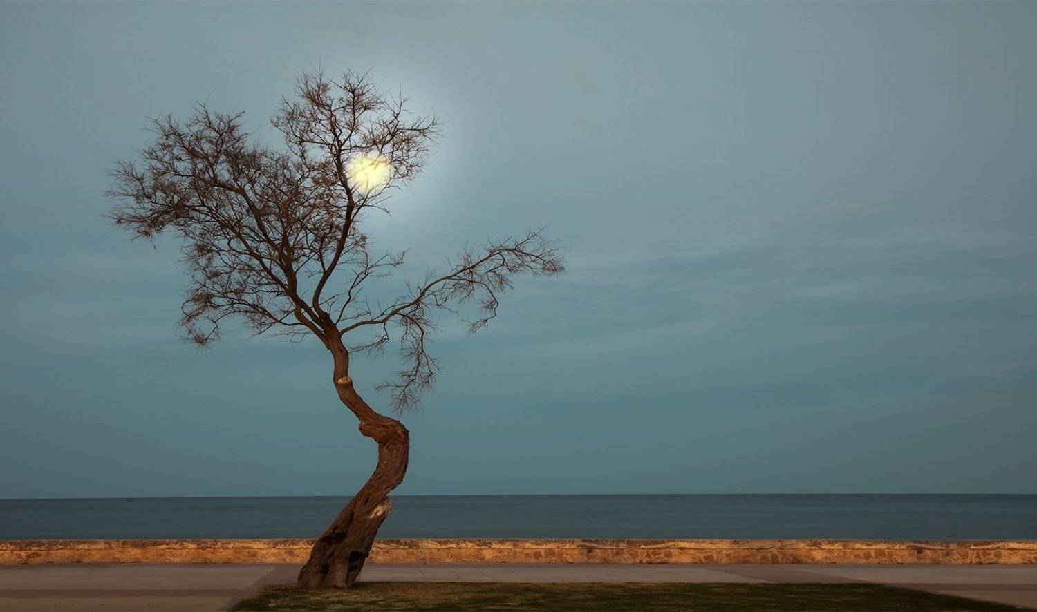 , Игорь Дубровский