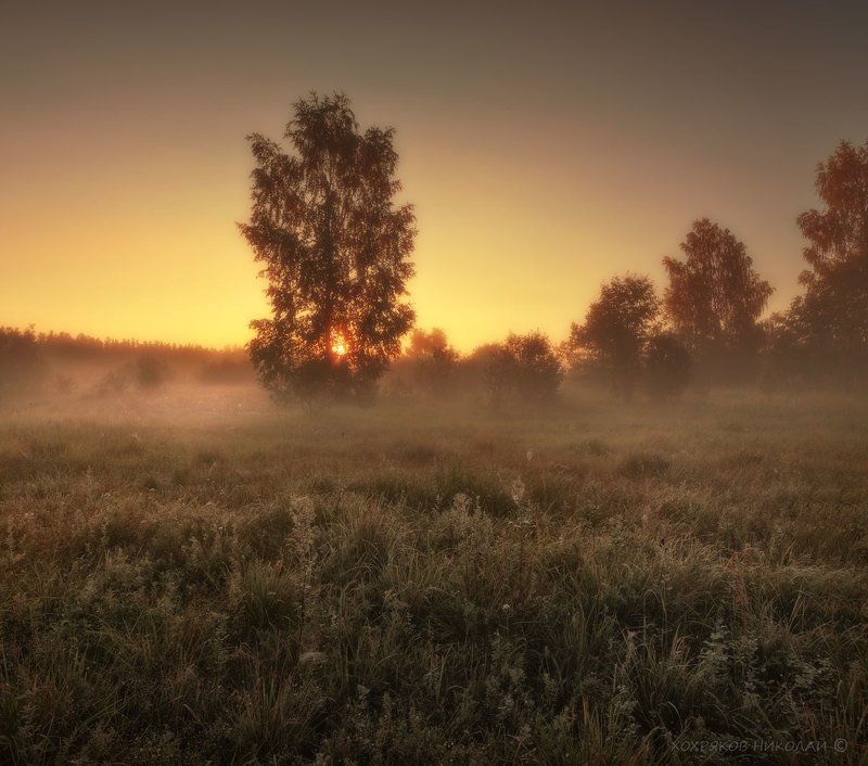луговая-росная... фото превью