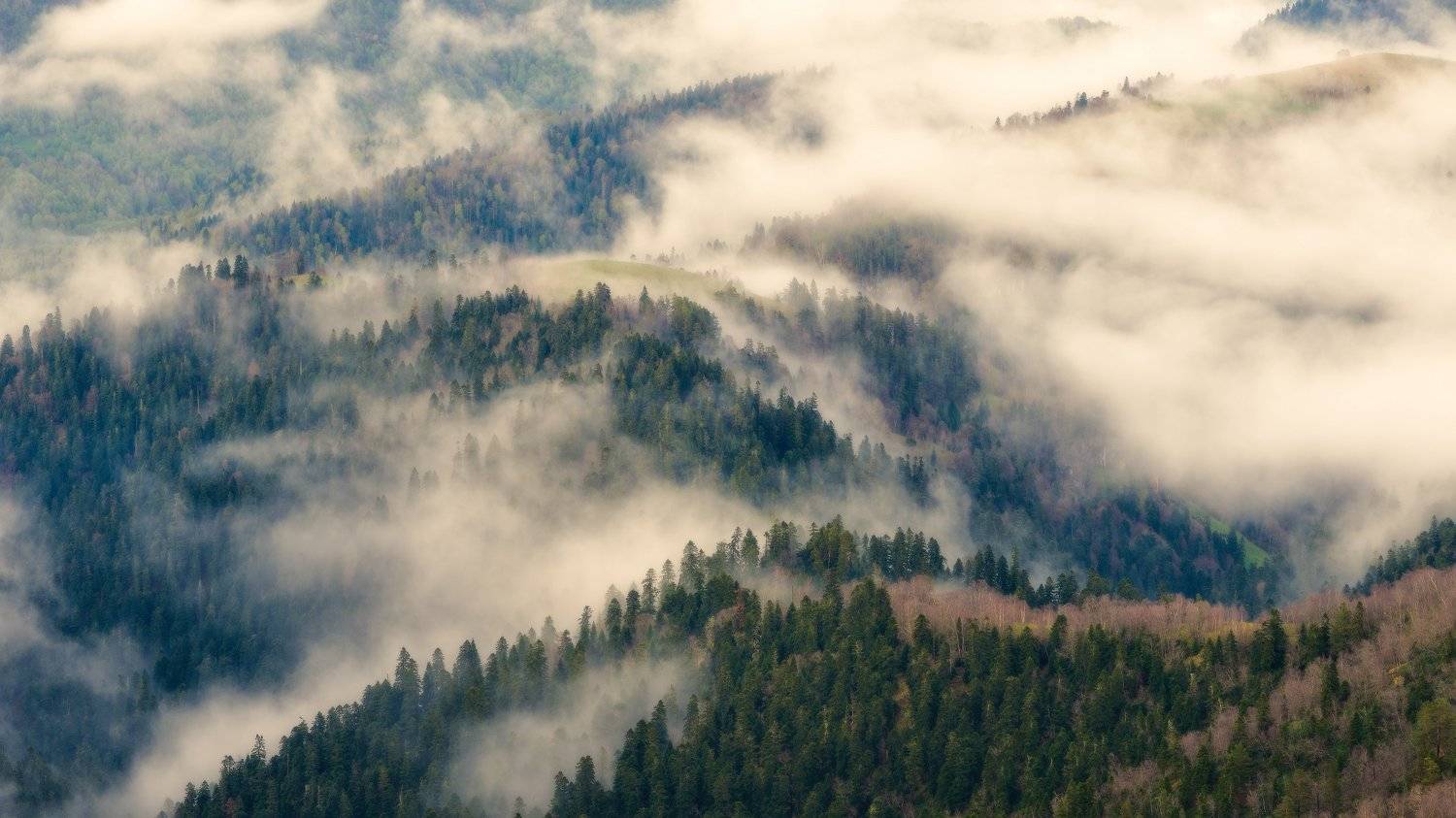 , Alexander Plekhanov