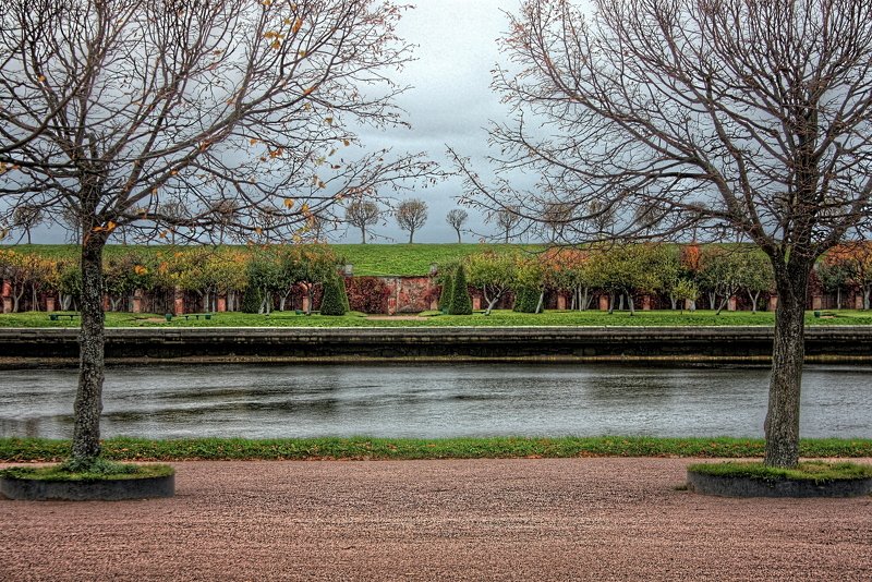 петергоф, петродворец, вода, дерево, деревья, парк осенний парк фото превью
