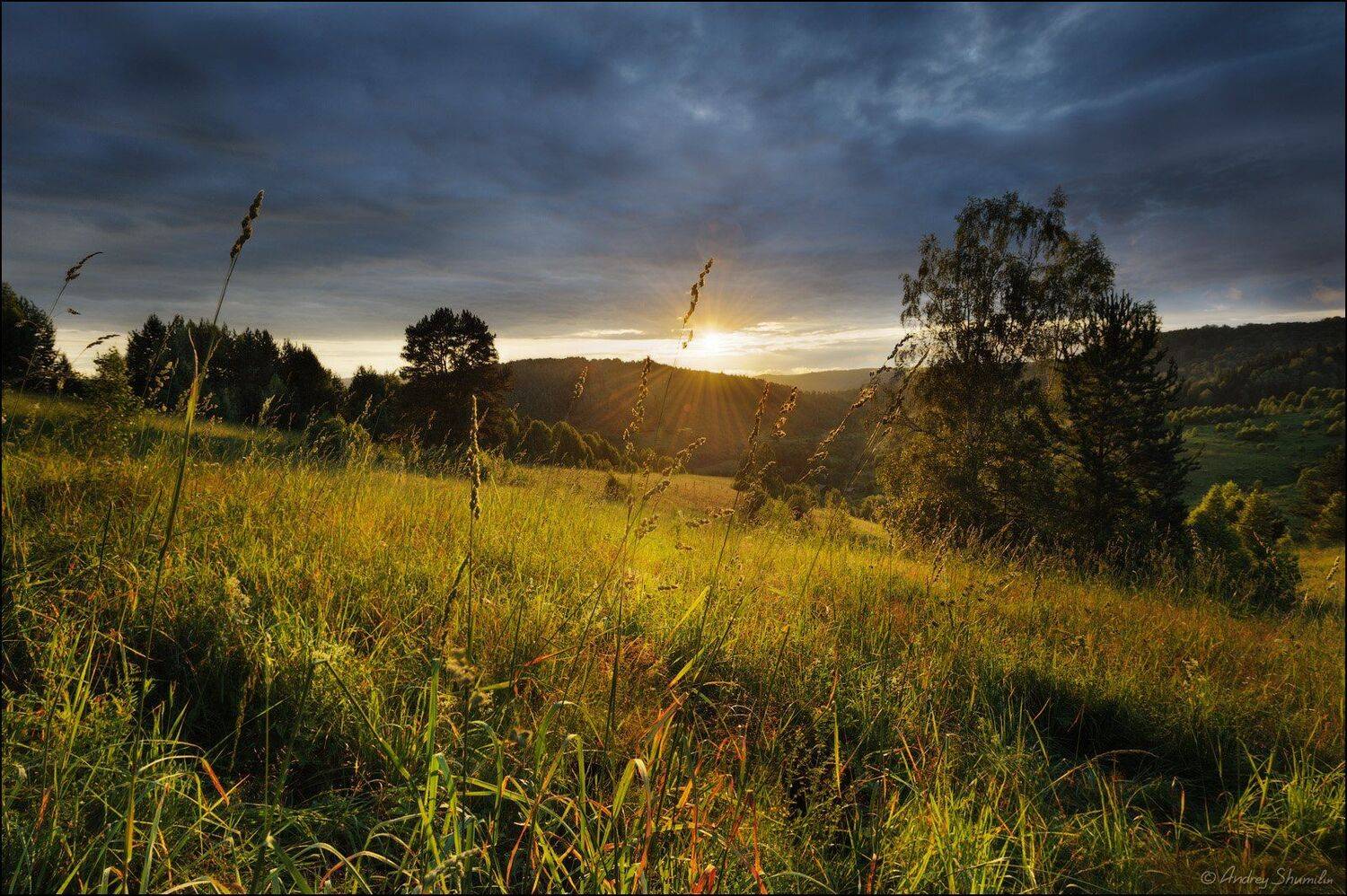 , Андрей Шумилин