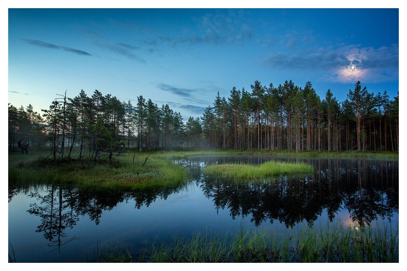 --- фото превью