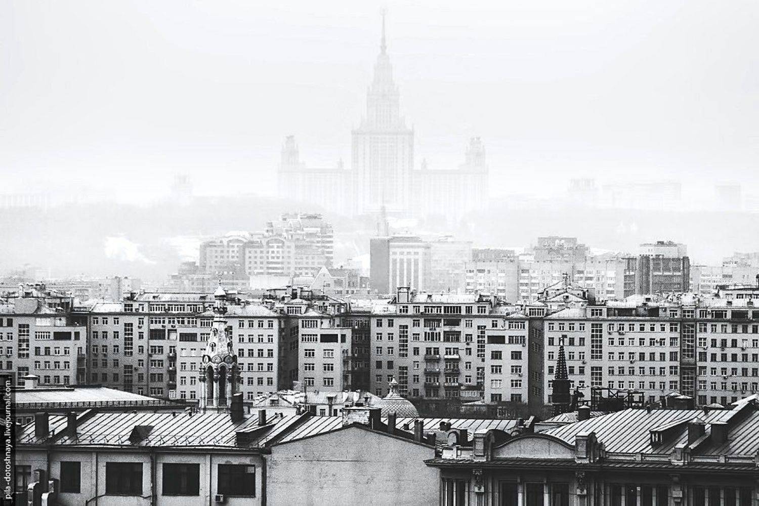 , Анна Аринова