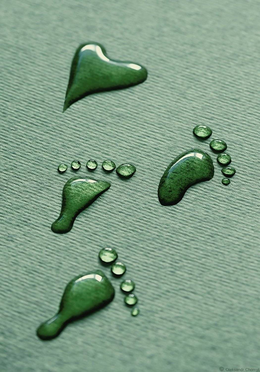 украина, коростышев, макро, макро мир, макро красота, волшебство, сказка, следы, капельки, ножки, сердце, любовь, зеленый, фон, жизнь, мечта, макро истории, гармония, фотограф, чорный,, Александр Чорный