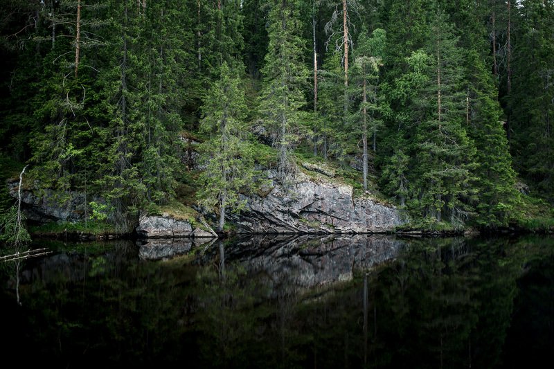 карелия, nikon Карелия фото превью