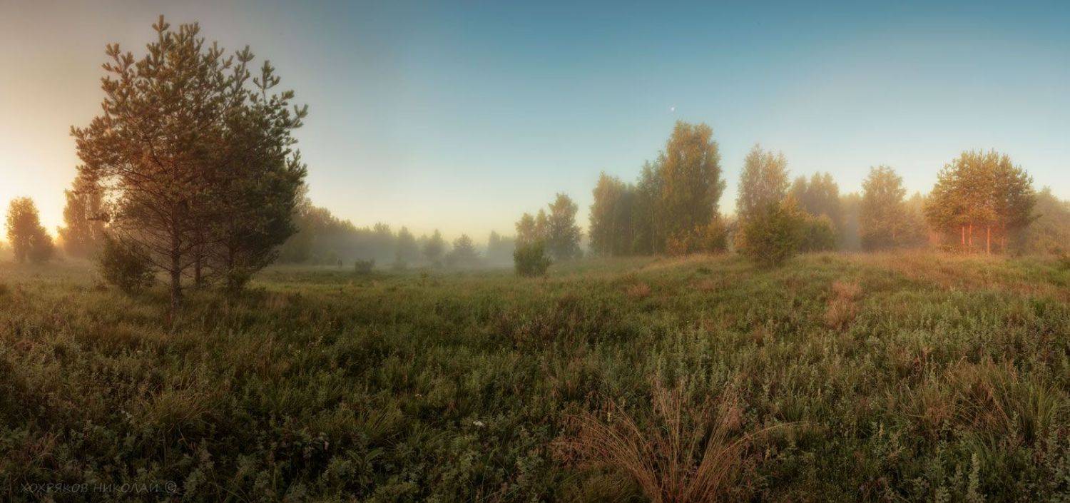 , Хохряков Николай