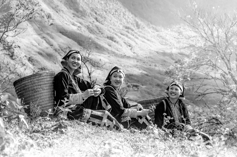 On spring hill фото превью