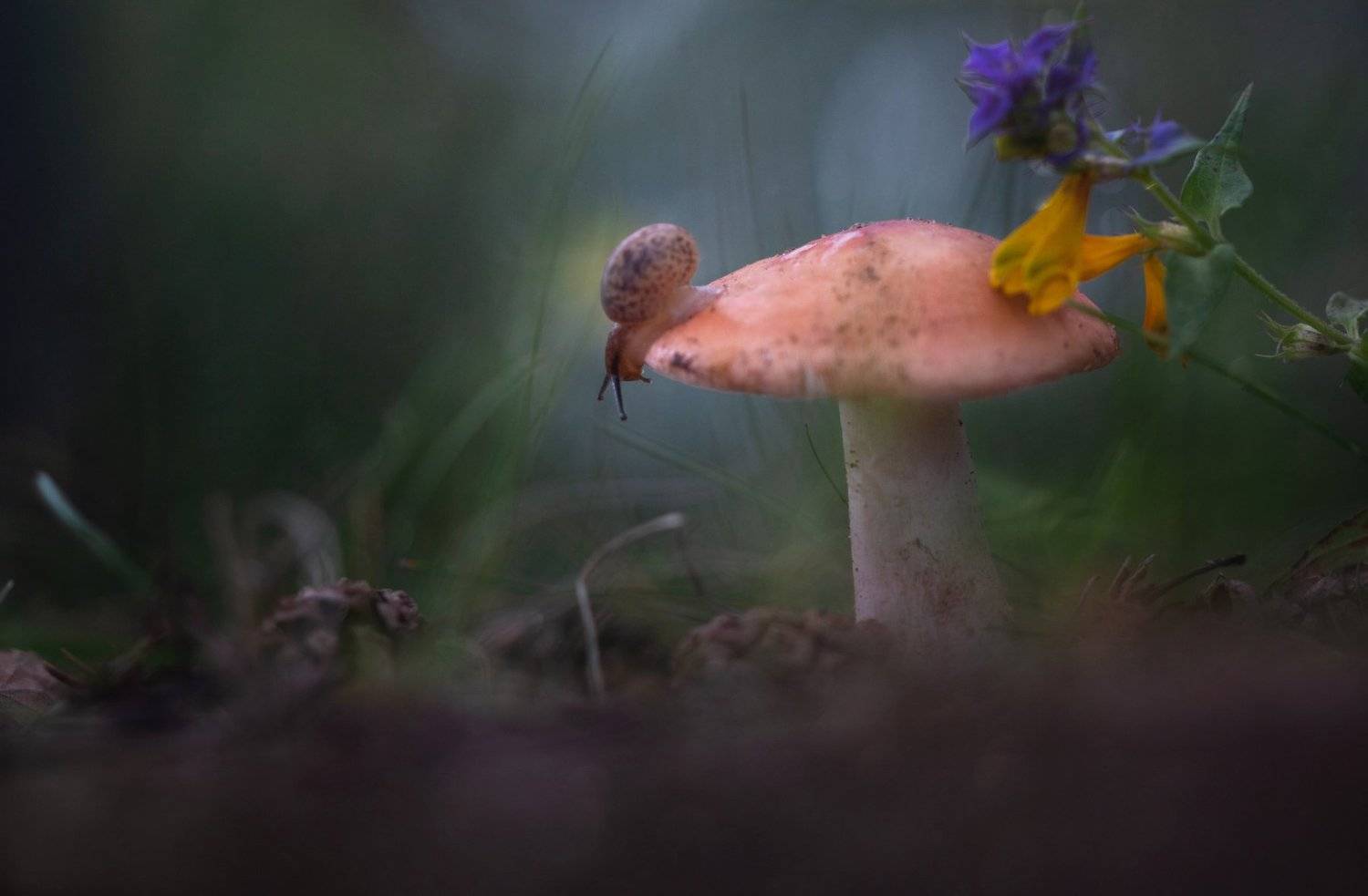 , Людмила Гудина