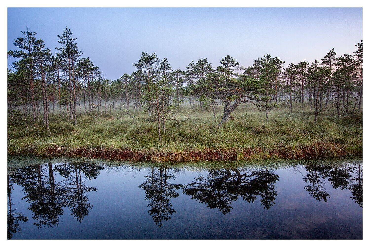 , Евгеньевич Андрей