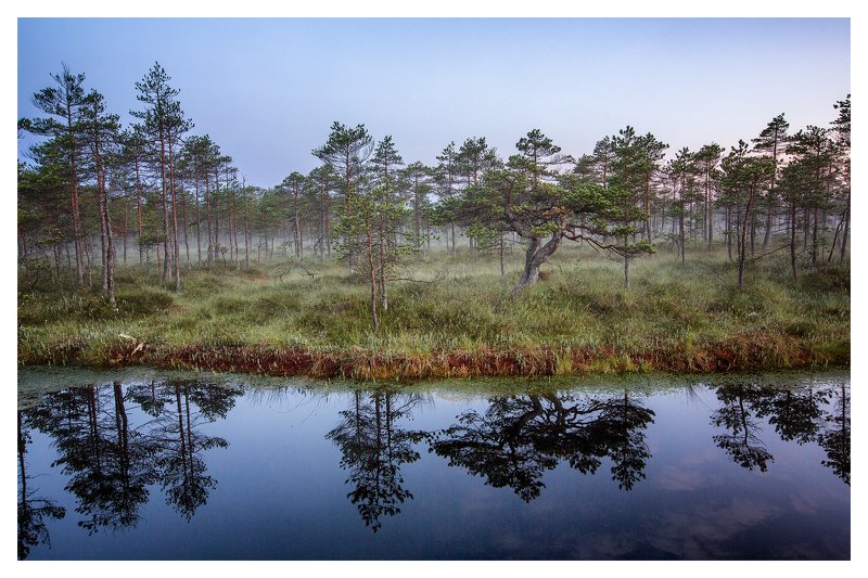 --- фото превью