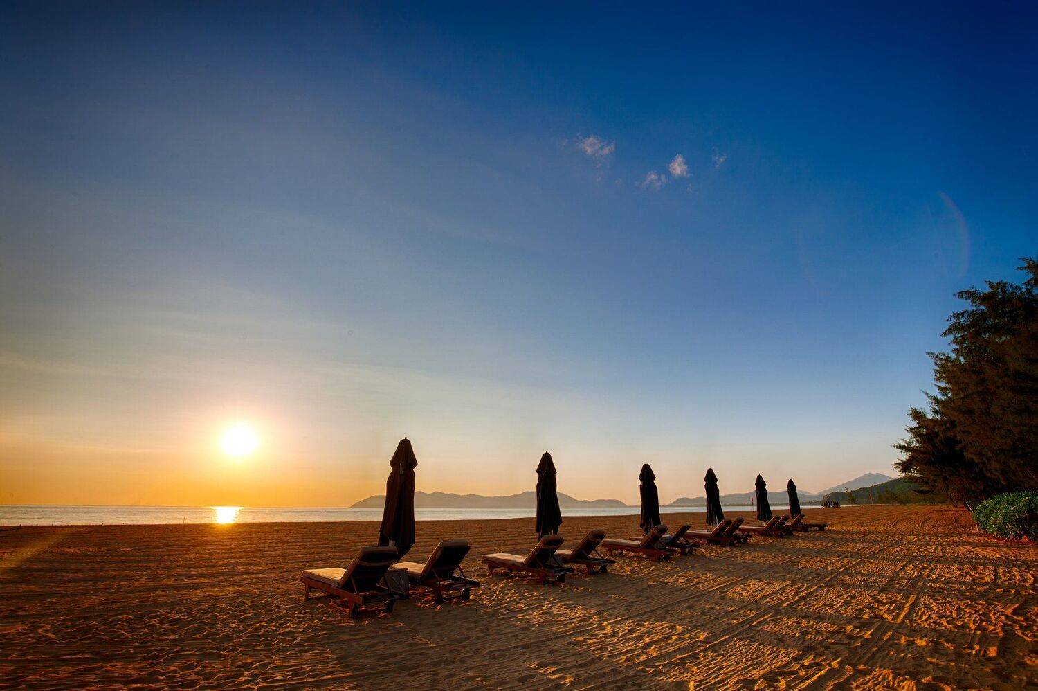 , Nguyễn Ho&agrave;ng Long