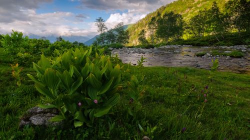 Середина лета