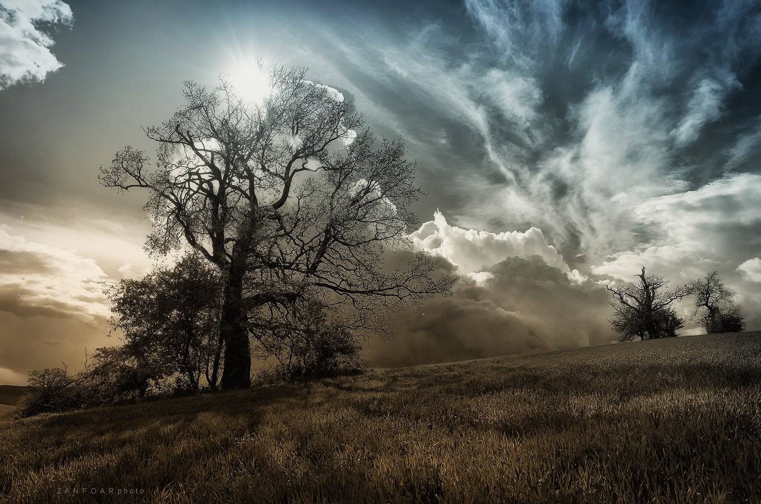 zanfoar,czech republic,moravia,bohemia,nature,trees,storm,перед бурей,гроза,чехия,  Zanfoar