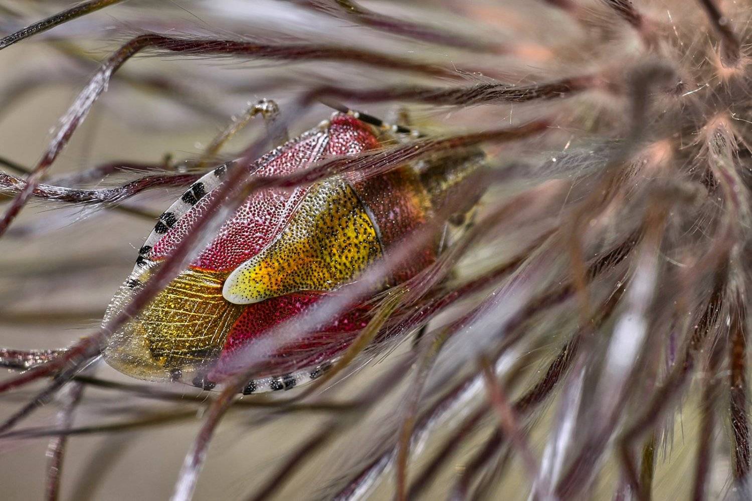 южный, урал, губерля орск, новотроицк, Качурин Алексей