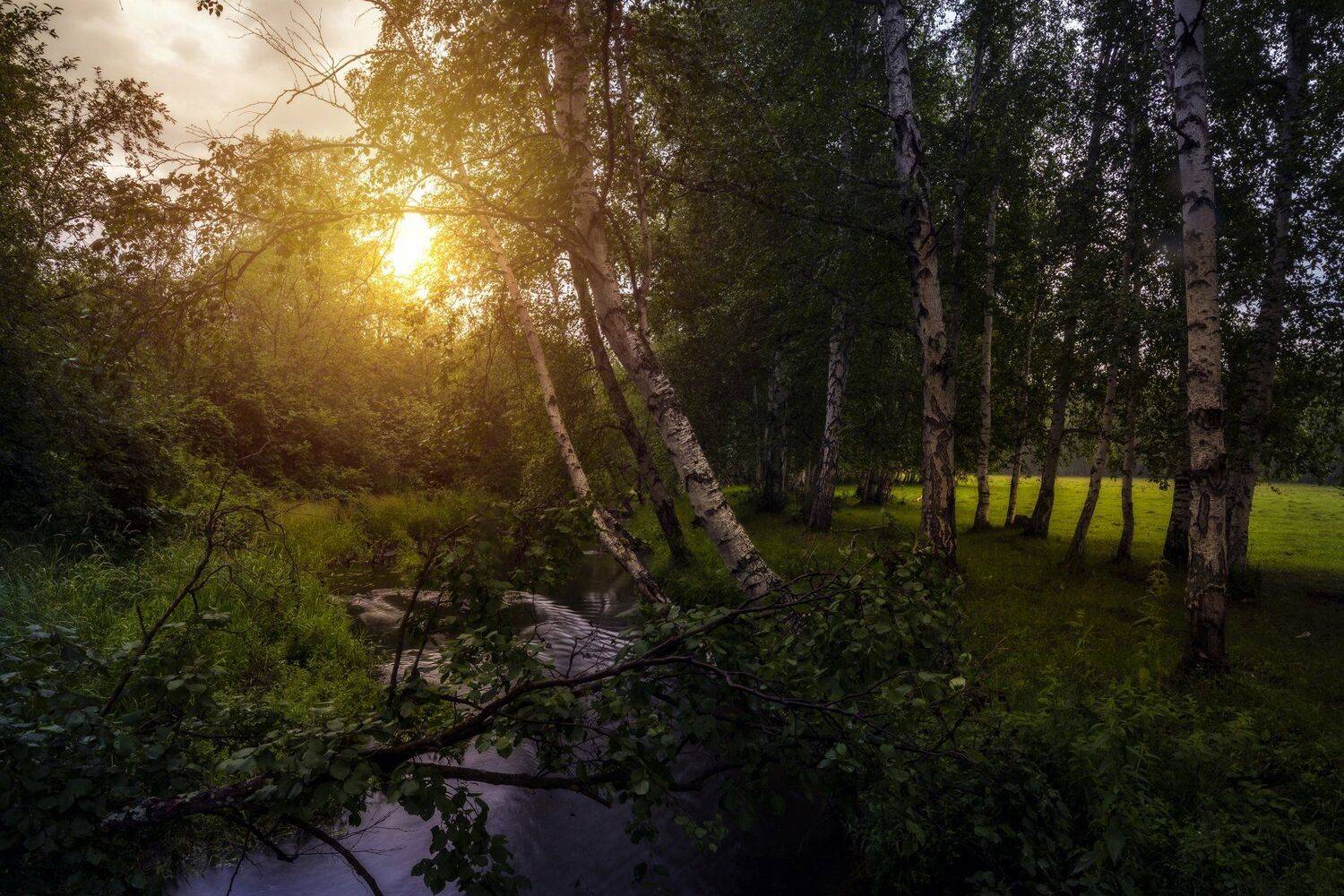 , Андрей Шарапов