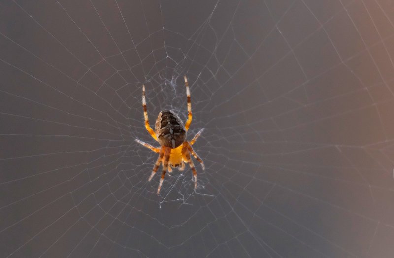 За работой фото превью