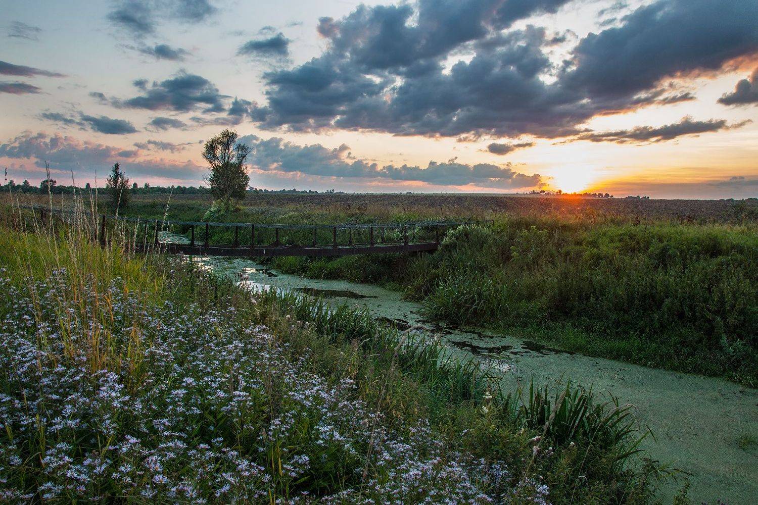 , Александр