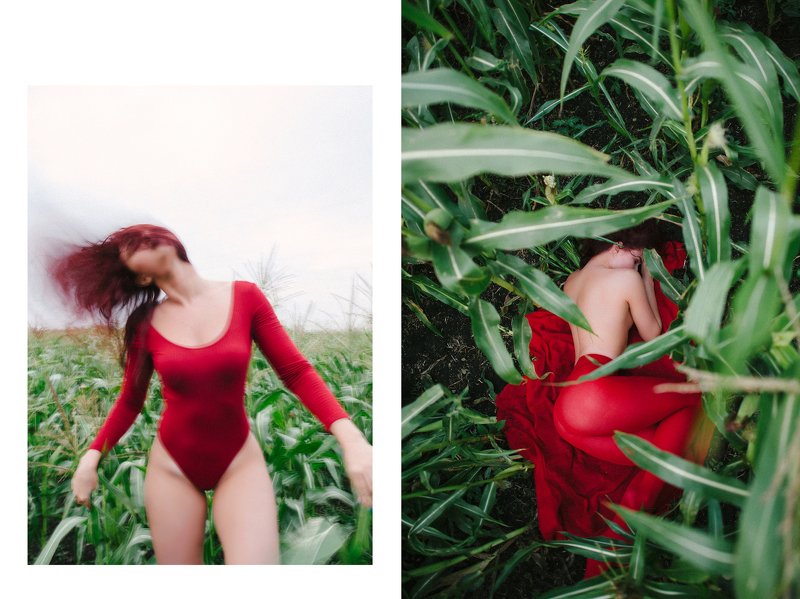 Red фото превью