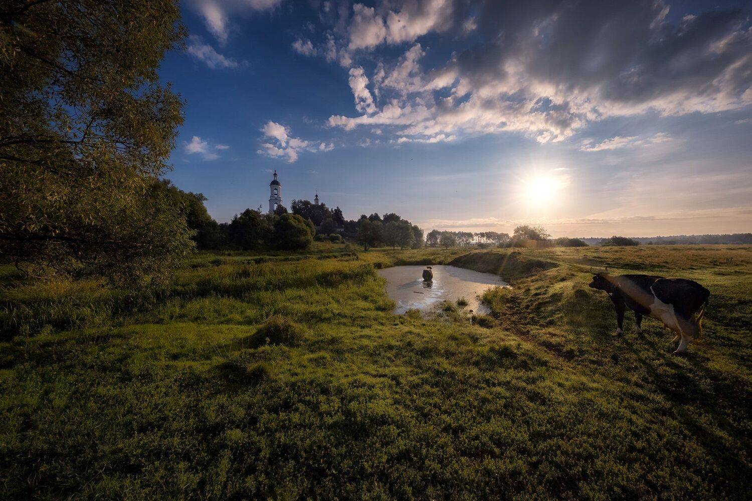 филипповское, село, шерна, река, утро, рассвет, коровы, колокольня, небо, лето, восход, путешествие, пейзаж, Андрей Чиж