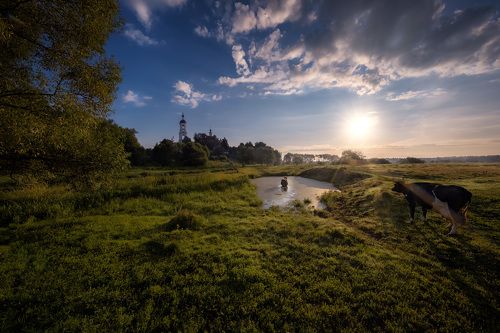 Сельское утро