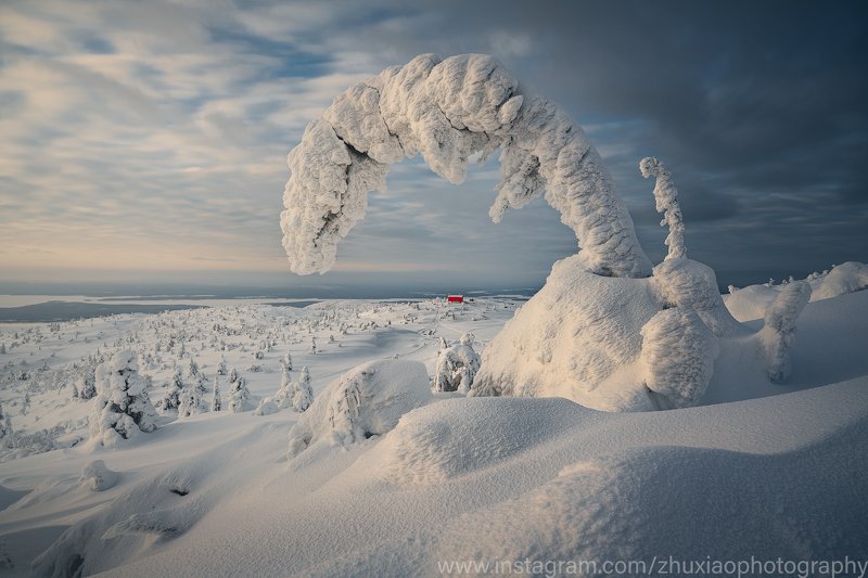 зима Ледяной и снежный мир фото превью