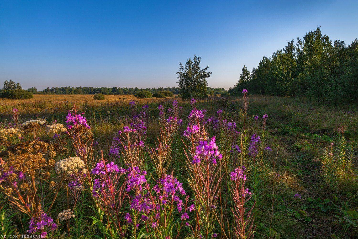 пейзаж, природа, путешествия, travel, wildlife, nature, landscape, canon, colours, Snowrain