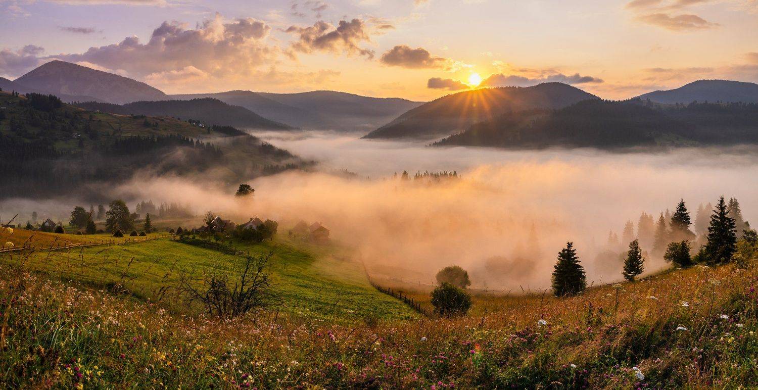 карпаты, туман, рассвет, Антон Петрусь