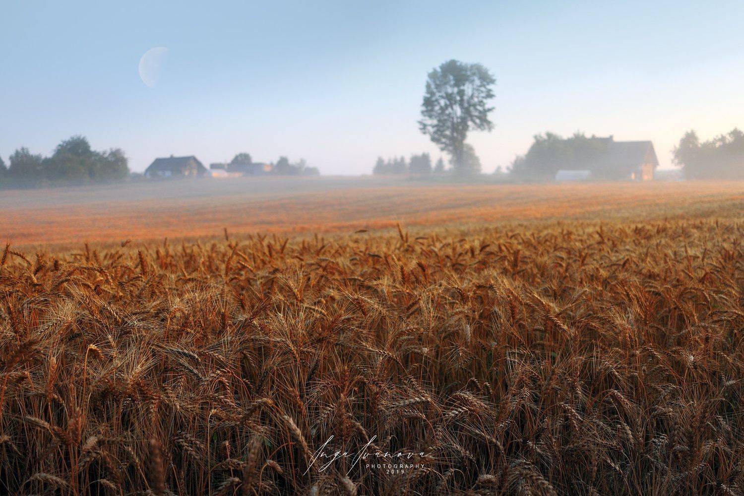 вот и август на подходе, Инга Иванова