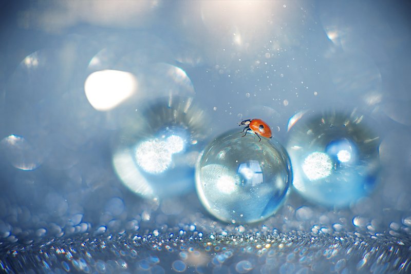 В мире шаров фото превью