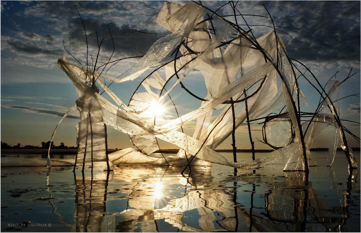 пейзаж, николай дмитрук