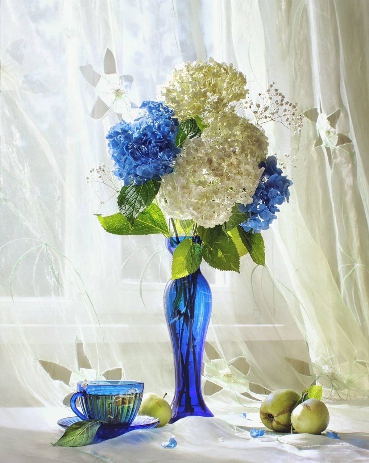 натюрморт, цветы, гортензия, окно, свет, синий, яблоко, букет, ваза, утро, лето, Наталья Прядко