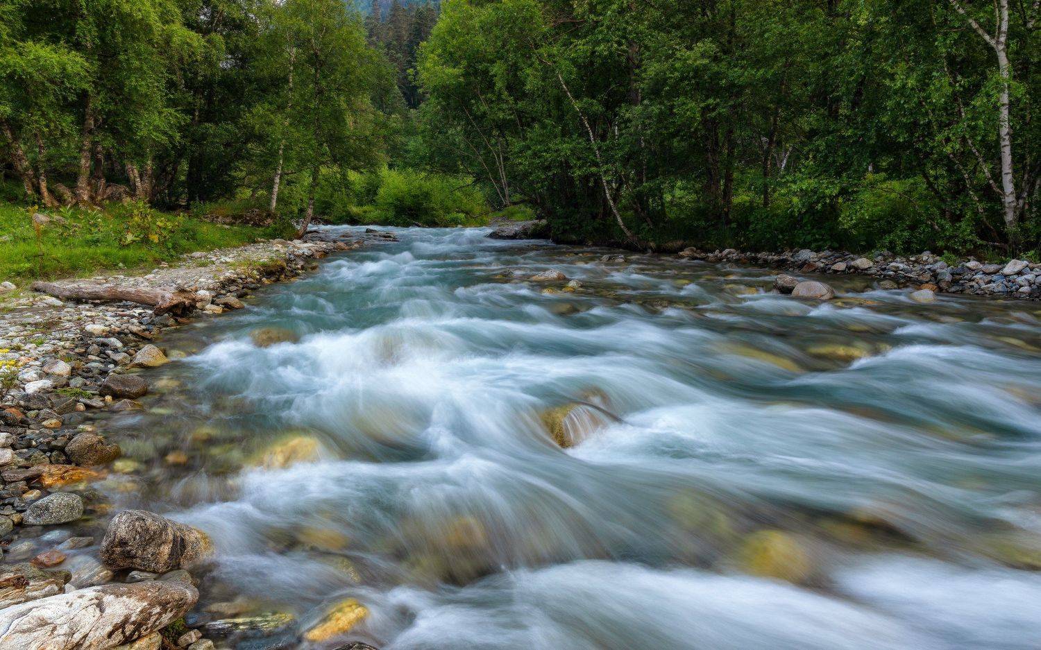 река, софия, Alexander Plekhanov