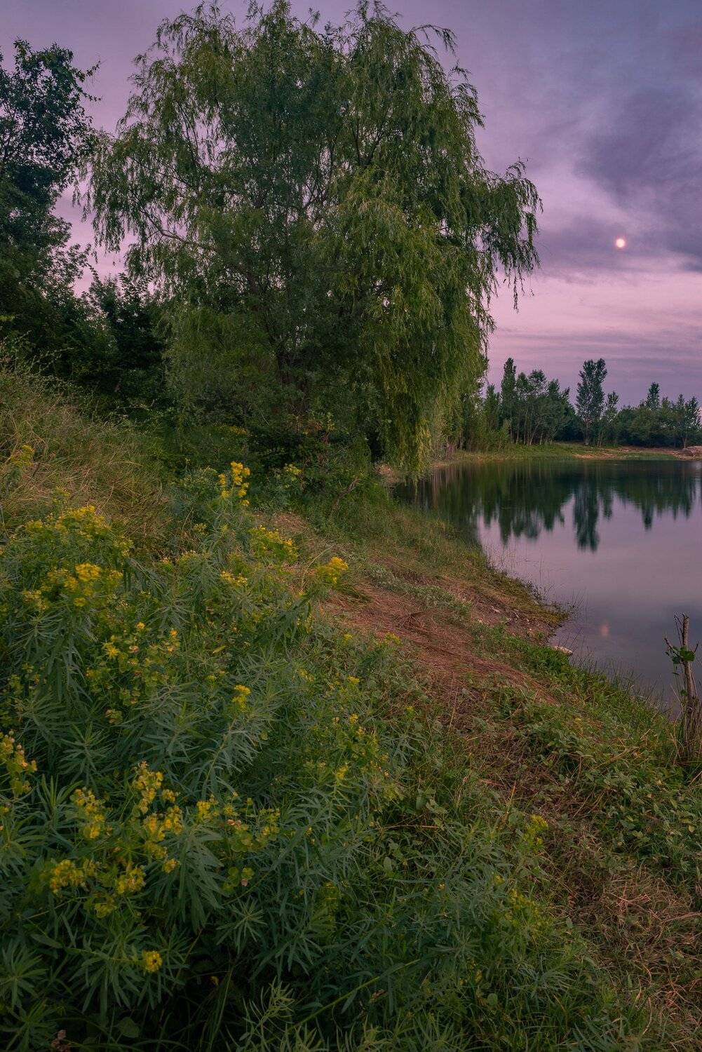 , Svetlov Sergey